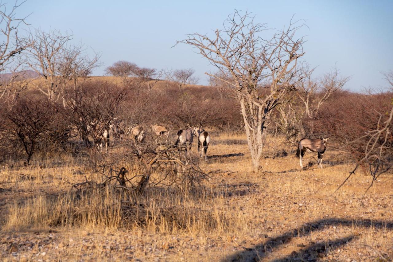 Ugab Game Farm & Lodge Vingerklip Kültér fotó
